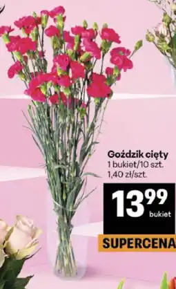 Delikatesy Centrum Goździk cięty 1 bukiet/10 szt oferta