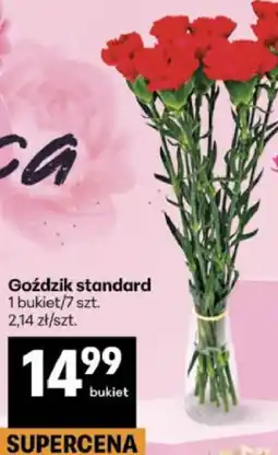 Delikatesy Centrum Goździk standard 1 bukiet/7 szt oferta