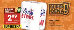 Delikatesy Centrum Piwo Żywiec Premium oferta