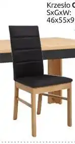 Black Red White krzesło Ostia oferta