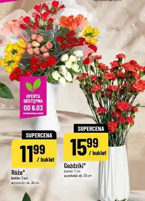 Polomarket Goździki bukiet 7 szt oferta
