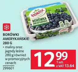 Selgros Borówki amerykańskie oferta
