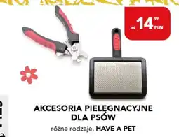 AquaelZOO Akcesoria pielęgnacyjne dla psów różne rodzaje oferta