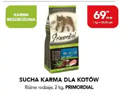 AquaelZOO Sucha karma dla kotów oferta