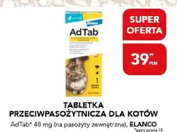 AquaelZOO Tabletka przeciwpasożytnicza dla kotów oferta