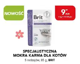 AquaelZOO Specjalistyczna mokra karma dla kotów oferta