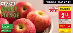 Biedronka Jabłko polskie oferta
