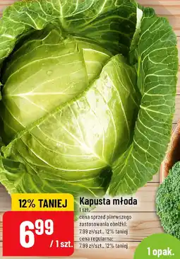 Polomarket Kapusta młoda oferta