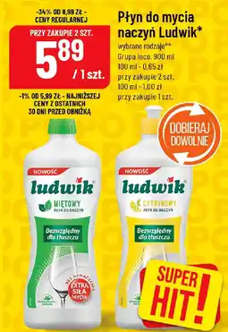 Polomarket Płyn do mycia naczyń Ludwik Grupa Inco oferta