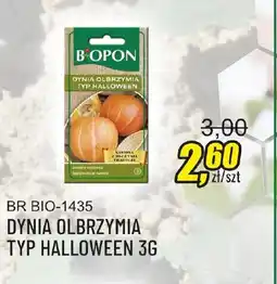 Unimet Dynia olbrzymia typ Halloween oferta