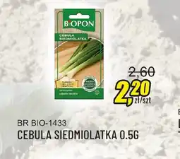 Unimet Cebula siedmiolatka Biopon oferta