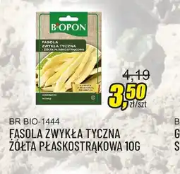 Unimet Fasola zwykła tyczna żółta płaskostrąkowa Biopon oferta
