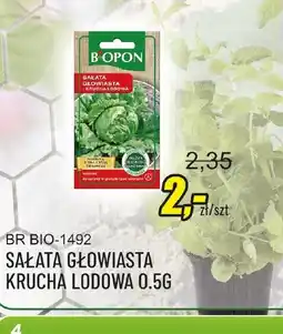 Unimet Sałata głowiasta krucha lodowa oferta