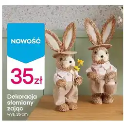 Pepco Dekoracja słomiany zając oferta
