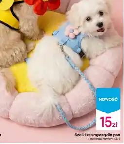 Pepco Szelki ze smyczą dla psa z aplikacją oferta