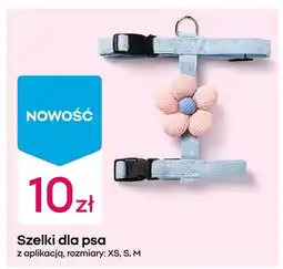 Pepco Szelki dla psa z aplikacją oferta