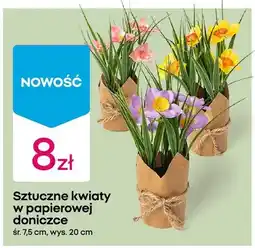 Pepco Sztuczne kwiaty w papierowej doniczce oferta