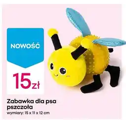 Pepco Zabawka dla psa pszczoła oferta