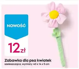 Pepco Zabawka dla psa kwiatek szeleszcząca oferta