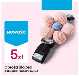 Pepco Obroża dla psa z aplikacją oferta