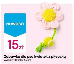 Pepco Zabawka dla psa kwiatek z piłeczką oferta