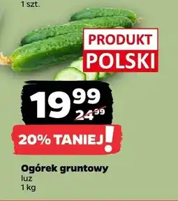 Netto Ogórek gruntowy luz oferta