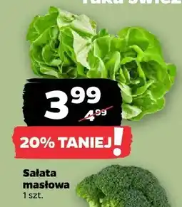 Netto Sałata masłowa oferta
