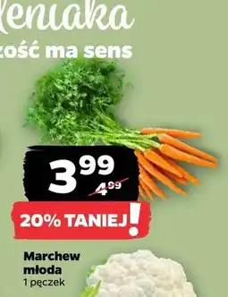 Netto Marchew młoda oferta