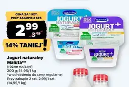 Netto Jogurt naturalny Maluta oferta