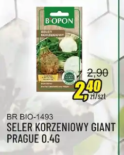 Unimet Seler korzeniowy Giant Prague oferta