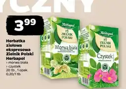 Netto Herbatka ziołowa ekspresowa czystek oferta