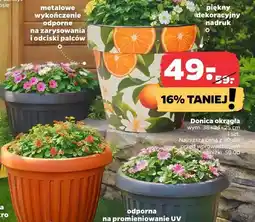 Netto Donica okrągła oferta