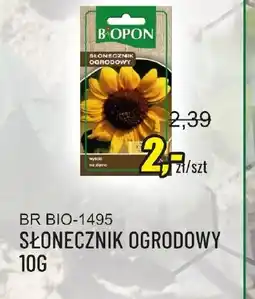 Unimet Słonecznik ogrodowy Biopon oferta