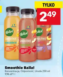 Lewiatan Smoothie uroda oferta