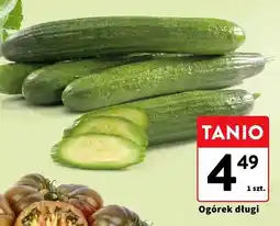 Intermarche Ogórek długi oferta