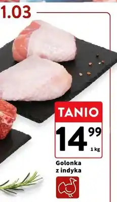 Intermarche Golonka z indyka oferta