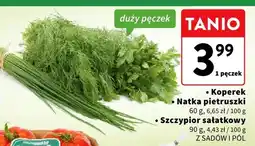 Intermarche Szczypior sałatkowy oferta