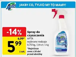 Intermarche Spray do czyszczenia oferta