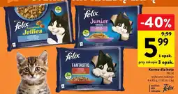 Intermarche Karma dla kota Fantastic oferta