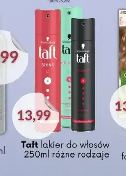 Astor Taft lakier do włosów oferta