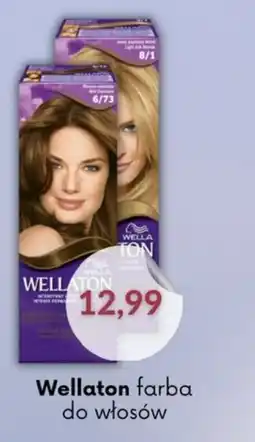 Astor Wellaton farba do włosów oferta