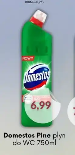 Astor Domestos Pine płyn do WC oferta