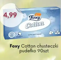 Astor Foxy Cotton chusteczki oferta