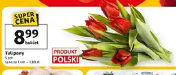 Auchan Tulipany oferta
