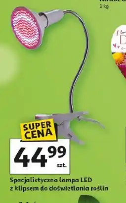 Auchan Lampa LED do roślin oferta