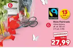 Kaufland Róże Fairtrade oferta