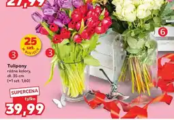Kaufland Tulipany oferta