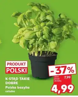 Kaufland Bazylia polska oferta