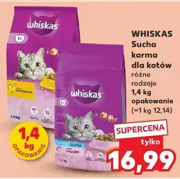 Kaufland Sucha karma dla kotów różne rodzaje oferta