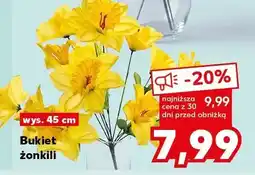 Kaufland Bukiet żonkili oferta